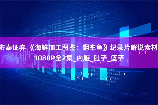 宏泰证券 《海鲜加工图鉴：翻车鱼》纪录片解说素材 1080P全2集_内脏_肚子_篮子